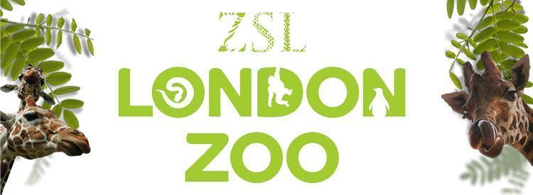 ZSL London Zoo Tickets | London Attractions Tickets | Group Line